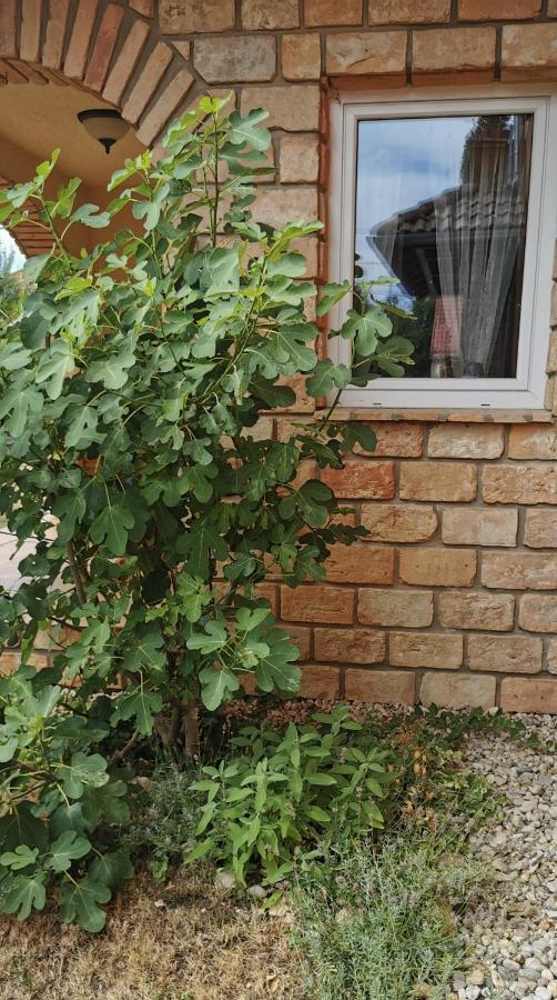 Mediterrania Apartment Keszthely Exterior foto